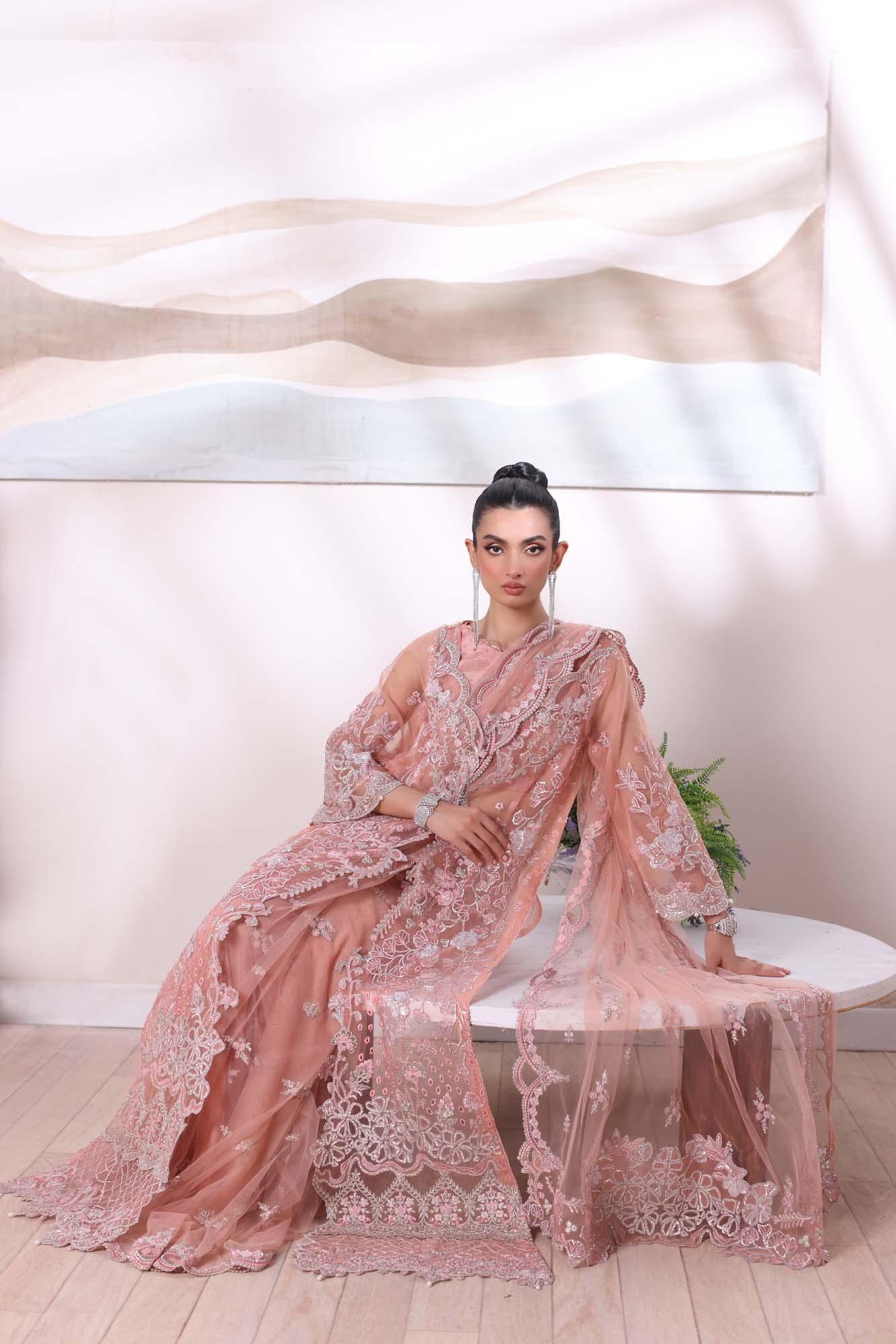Noor by Saadia Asad | Noor Chiffon De Luxe | D6 - Aqsa Fabrics