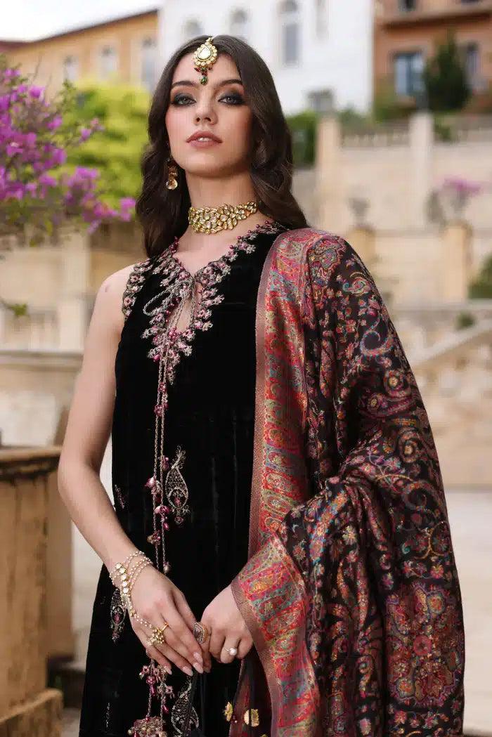 Noor by Saadia Asad | Kaani Wedding Formals 23 | D6 - Aqsa Fabrics