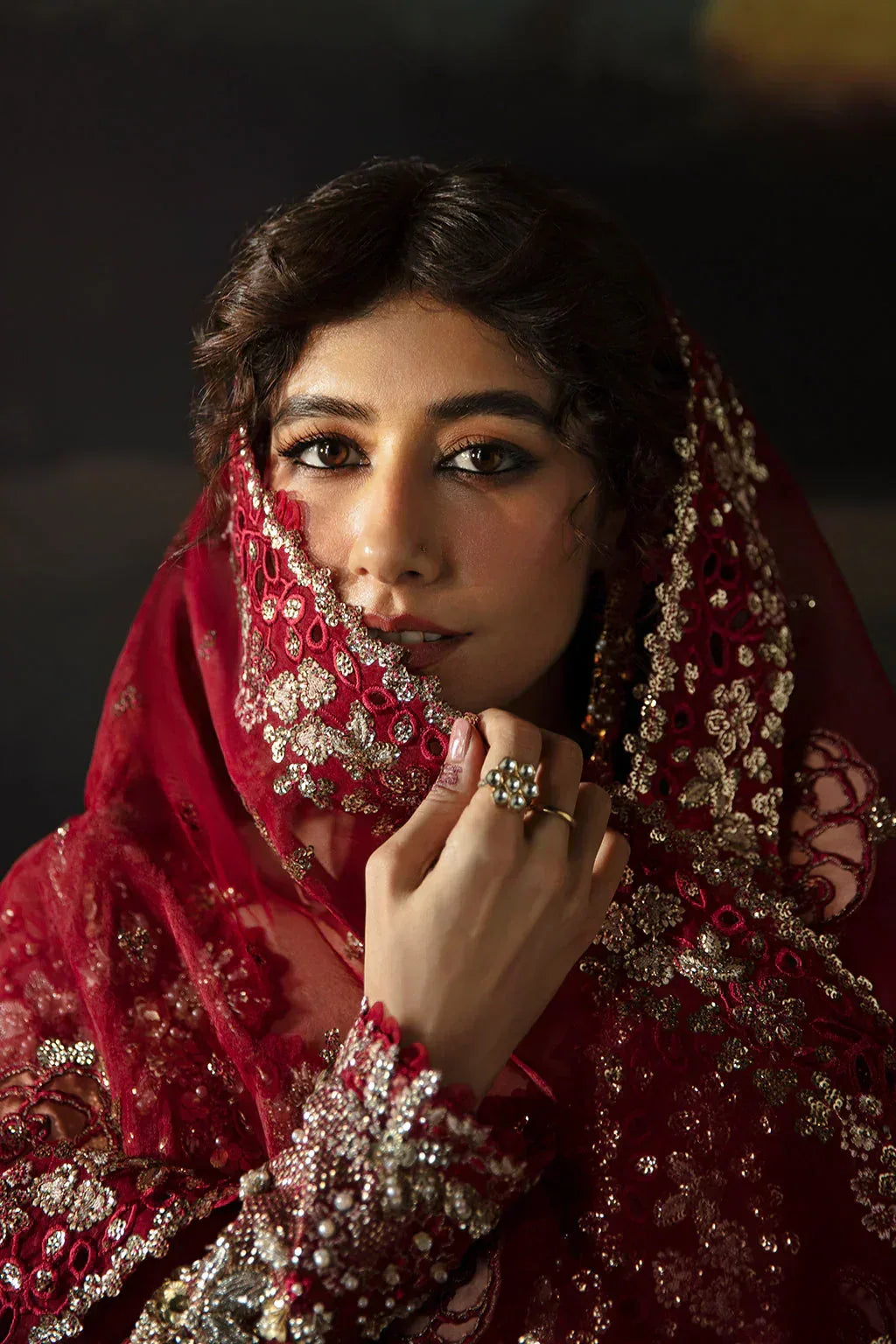 Hayat by Afrozeh Embroidered Organza 3Pc Suit AFH-24-07 ABEER - Aqsa Fabrics