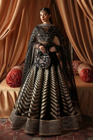 Afrozeh | Divani Silk Edit 23 | Zareen - Aqsa Fabrics