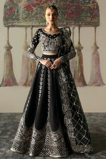 Afrozeh | Divani Silk Edit 25 | Husnara - Aqsa Fabrics