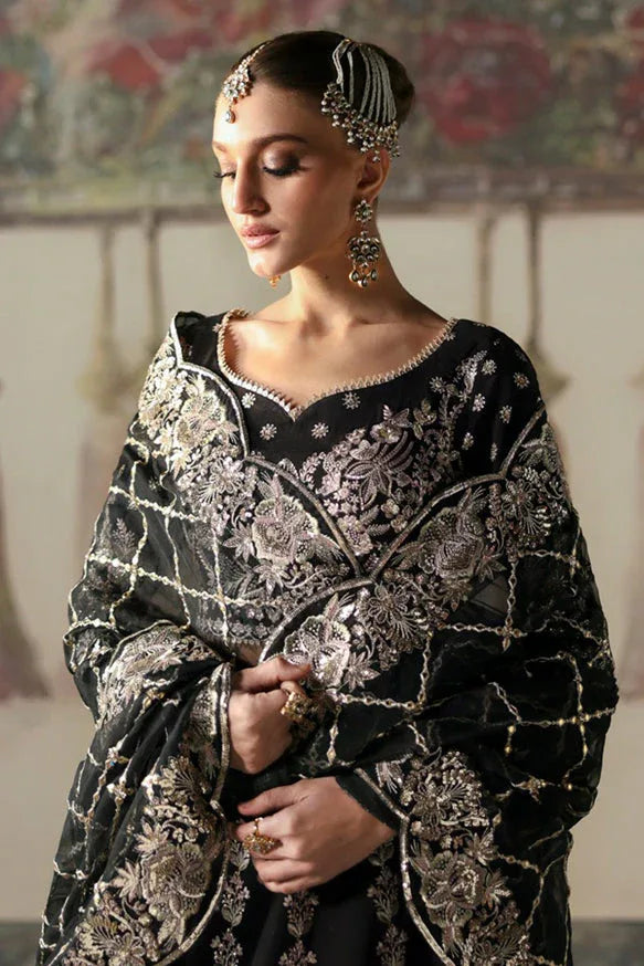 Afrozeh | Divani Silk Edit 25 | Husnara - Aqsa Fabrics