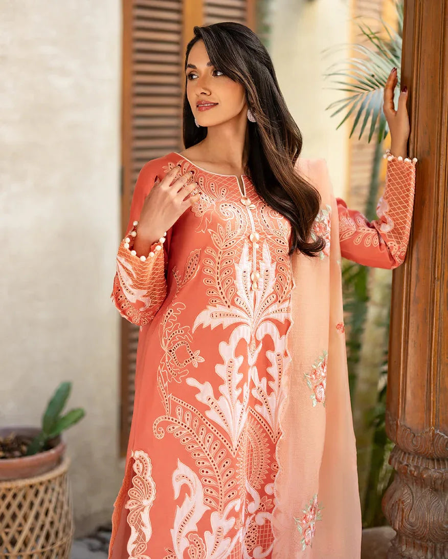 Avienne - Aqsa Fabrics