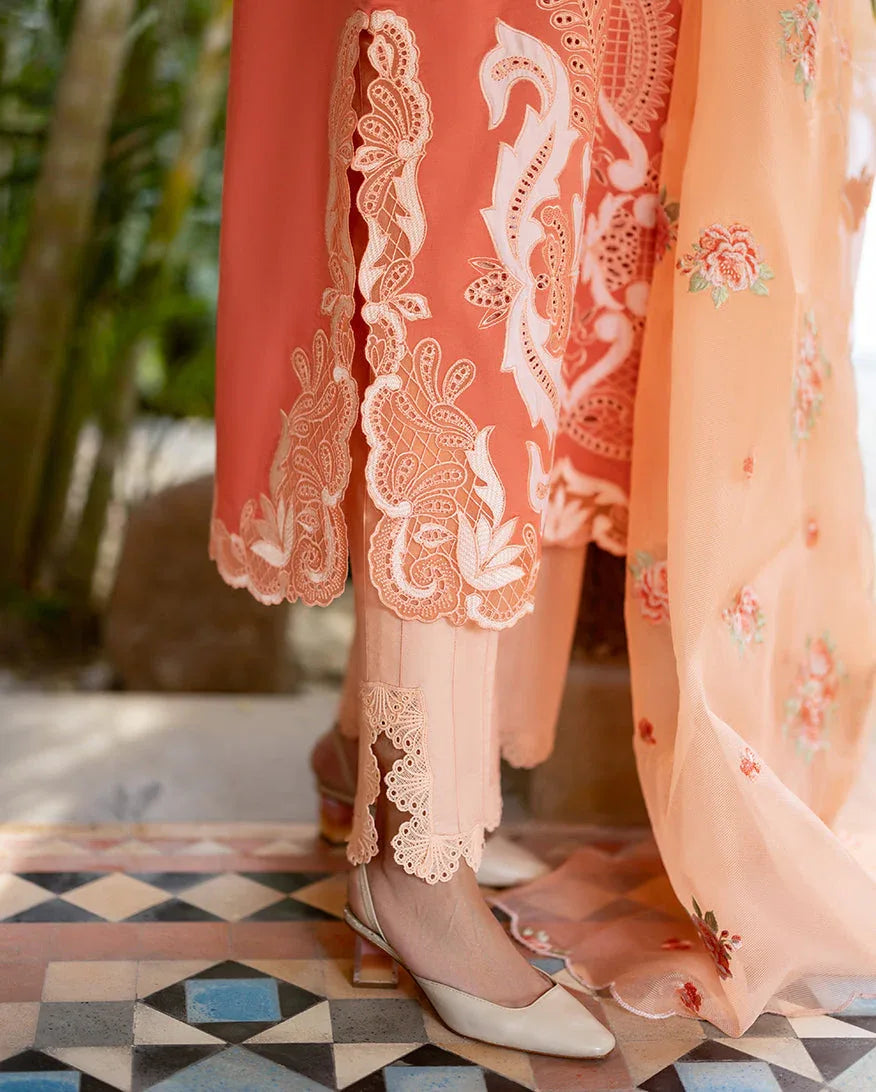 Avienne - Aqsa Fabrics