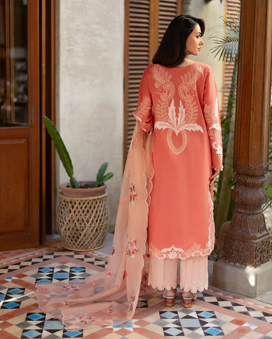 Avienne - Aqsa Fabrics