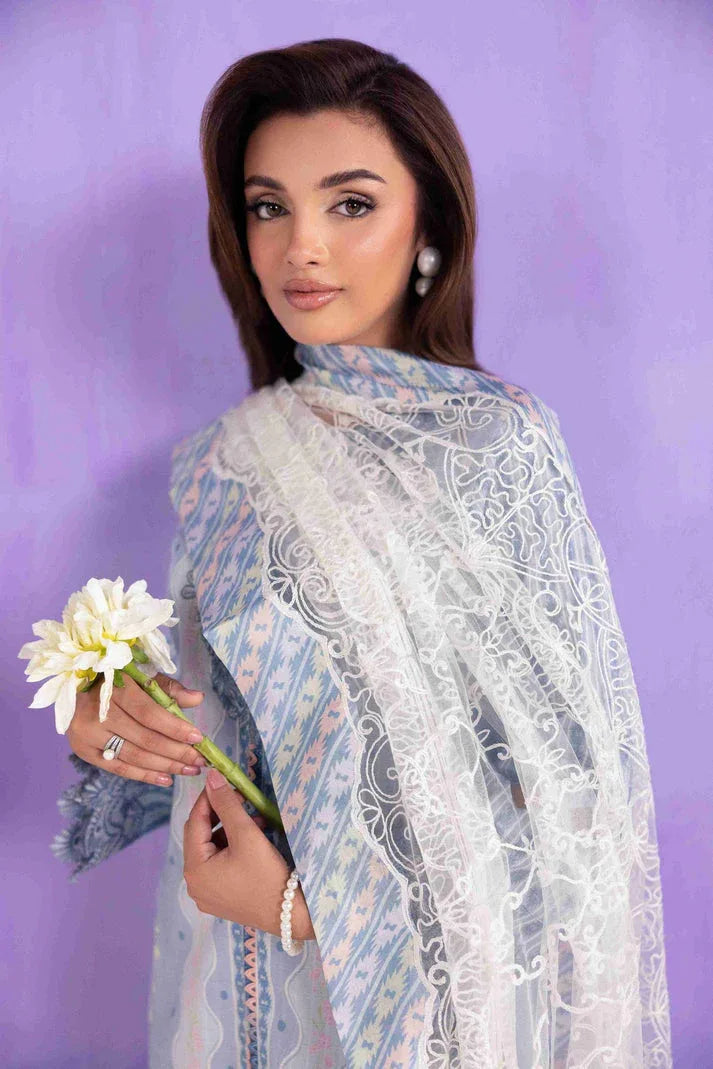 Aabyaan | Eid Pret 25 | MEIRA AP-02 - Aqsa Fabrics