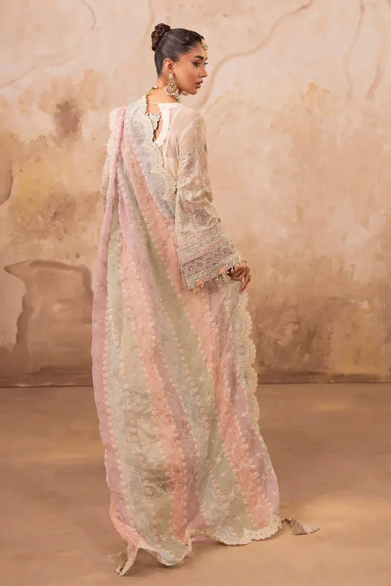 Adans Libas | Barroco Formals 25 | Barroco 1554 - Aqsa Fabrics