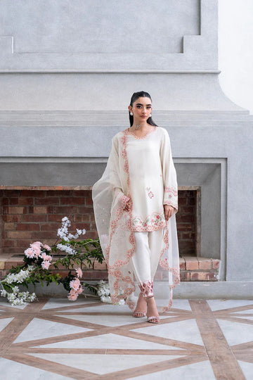 Dhanak | SS 25 Luxury Pret | SS25DL-0317 - Aqsa Fabrics