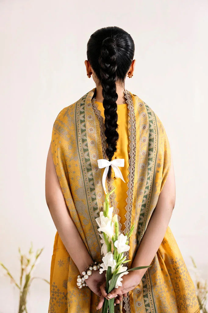 Florent | Festive Lawn 24 | FLF - 1B - Aqsa Fabrics