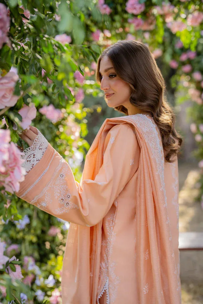 Florent | Chikankari Eid 25 | FLC-1B - Aqsa Fabrics