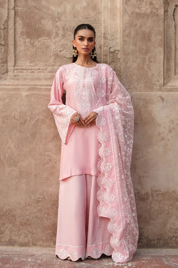 Saad Shaikh | Zaria Festive Pret 25 | BLUSH - Aqsa Fabrics