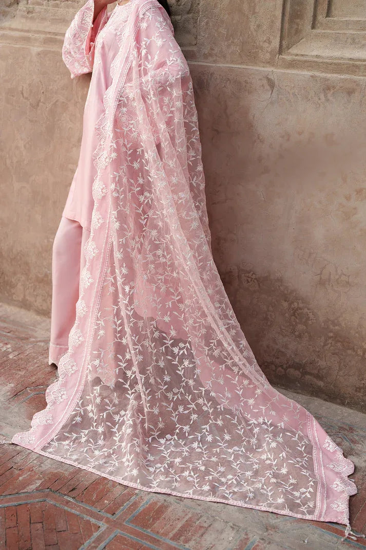Saad Shaikh | Zaria Festive Pret 25 | BLUSH - Aqsa Fabrics