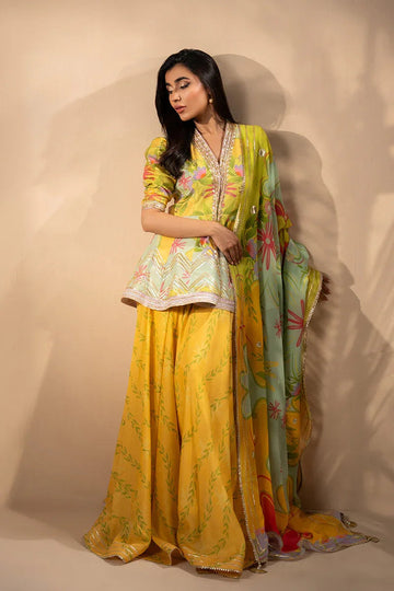 Sania Maskatiya | Mirra Luxury Pret 25 | Amaia - Aqsa Fabrics