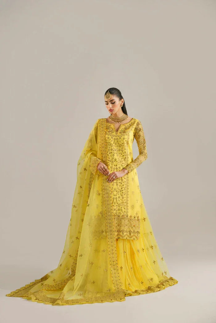 Akbar Aslam_HAREEM - Aqsa Fabrics