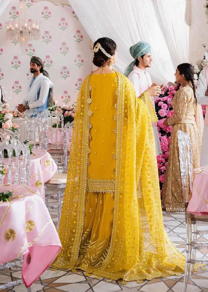 MEENA-AKBAR ASLAM - Aqsa Fabrics