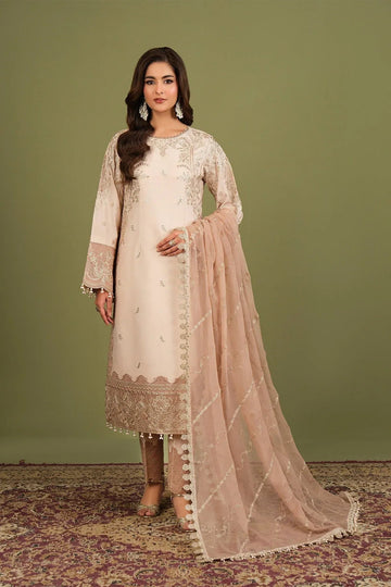 Alizeh | Luxe Raw Silk | AF-RS-10-Castor - Aqsa Fabrics