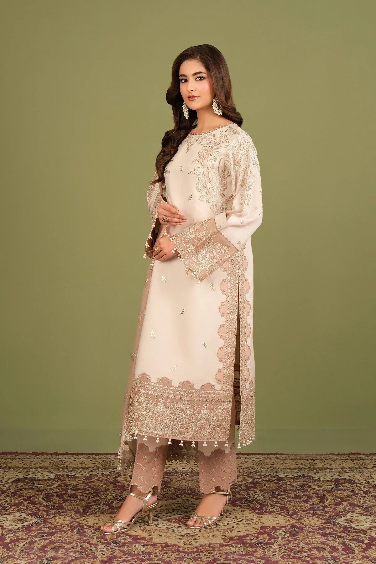 Alizeh | Luxe Raw Silk | AF-RS-10-Castor - Aqsa Fabrics