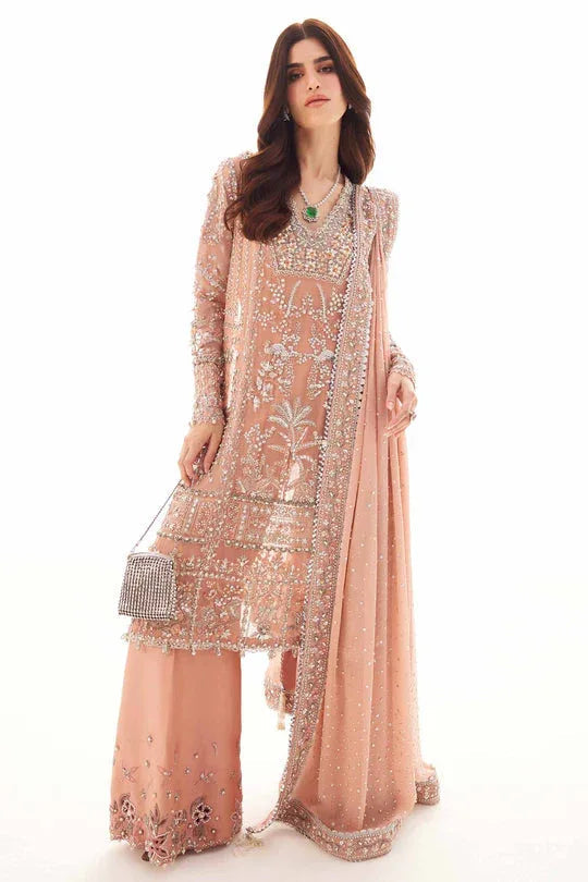 Elan | Elitarie Wedding Formals | ROSÉA (EP-21213) - Aqsa Fabrics