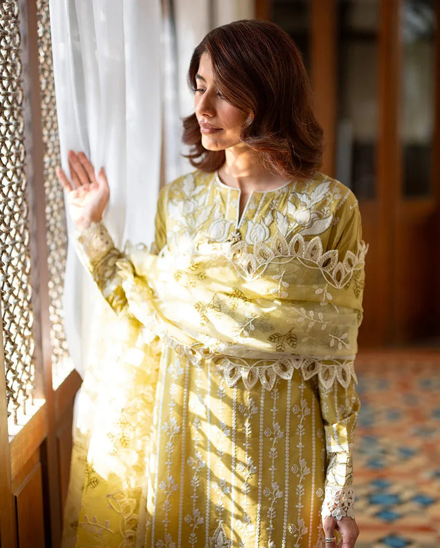 Evadne - Aqsa Fabrics