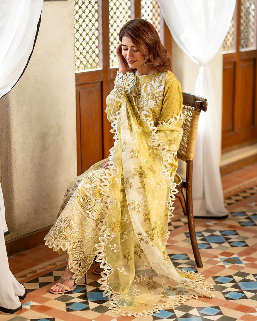 Evadne - Aqsa Fabrics