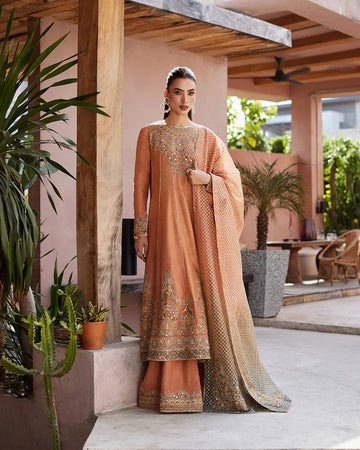 Faiza Saqlain | Aurnia Spring Festive Edit 24 | Dalisay - Aqsa Fabrics