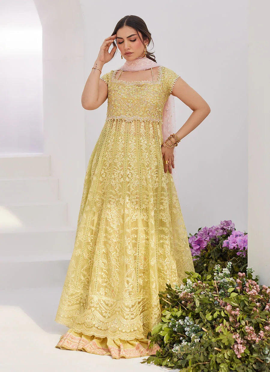 Farah Talib Aziz | Zaza Luxe Pret 24 | REINE KIWI EMBROIDERED EMBELLISHED KALIDAAR - Aqsa Fabrics