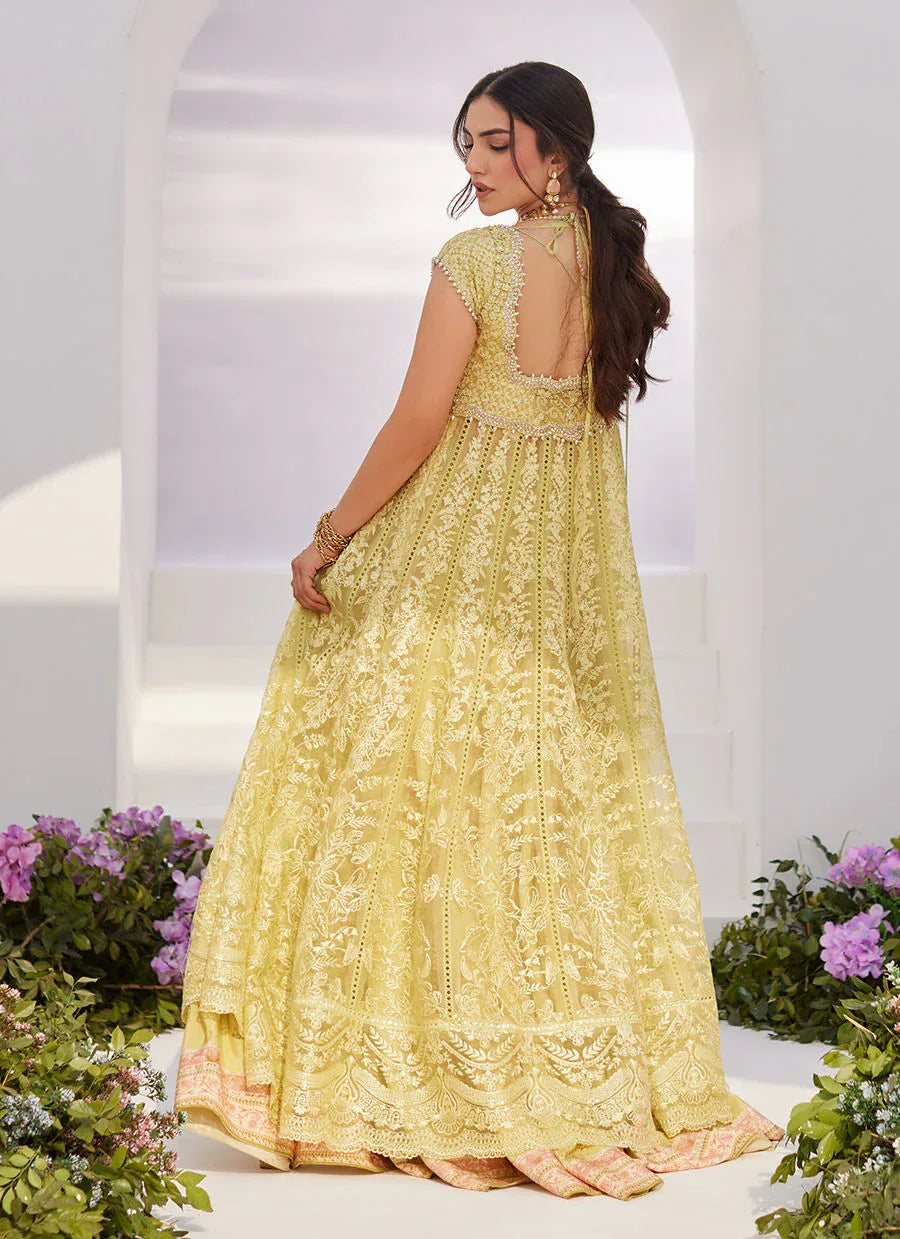 Farah Talib Aziz | Zaza Luxe Pret 24 | REINE KIWI EMBROIDERED EMBELLISHED KALIDAAR - Aqsa Fabrics