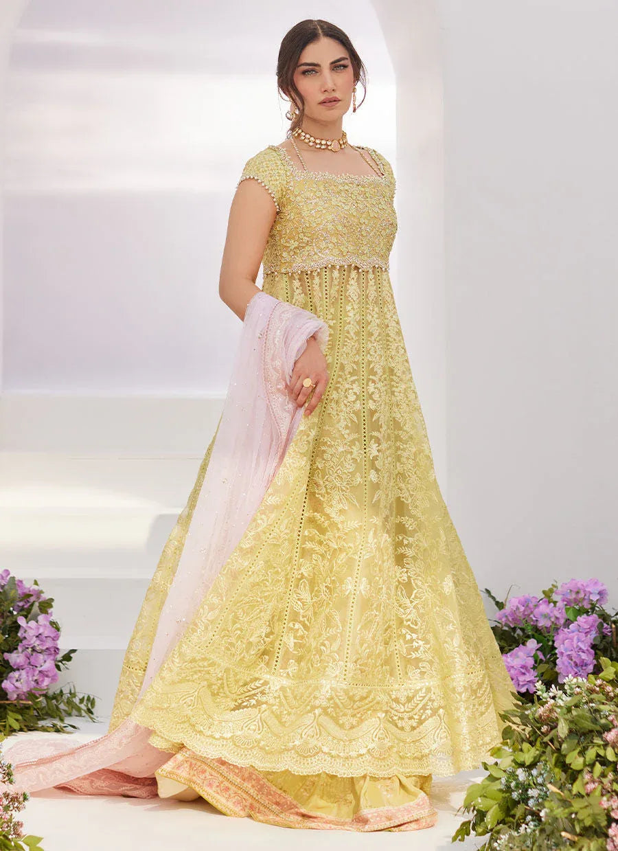Farah Talib Aziz | Zaza Luxe Pret 24 | REINE KIWI EMBROIDERED EMBELLISHED KALIDAAR - Aqsa Fabrics