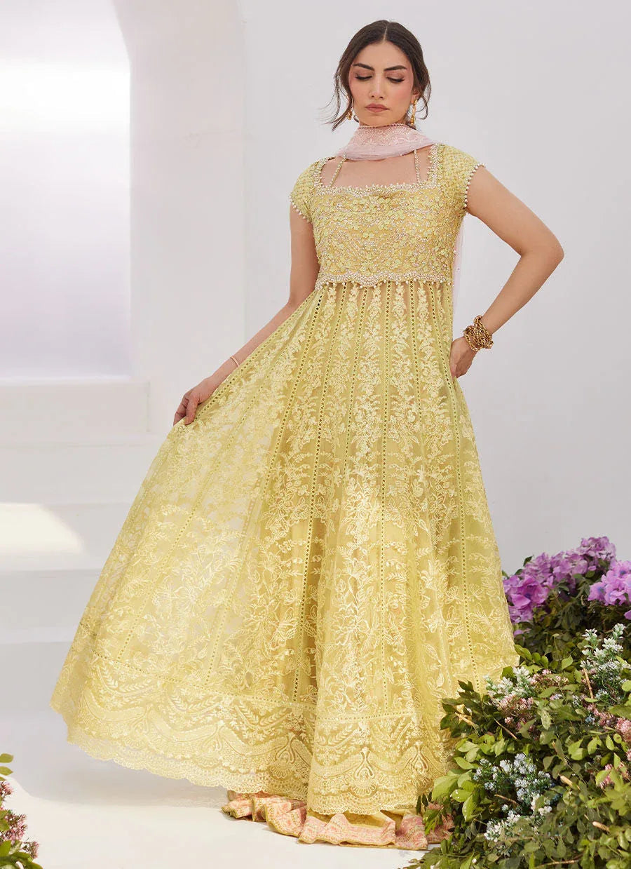 Farah Talib Aziz | Zaza Luxe Pret 24 | REINE KIWI EMBROIDERED EMBELLISHED KALIDAAR - Aqsa Fabrics