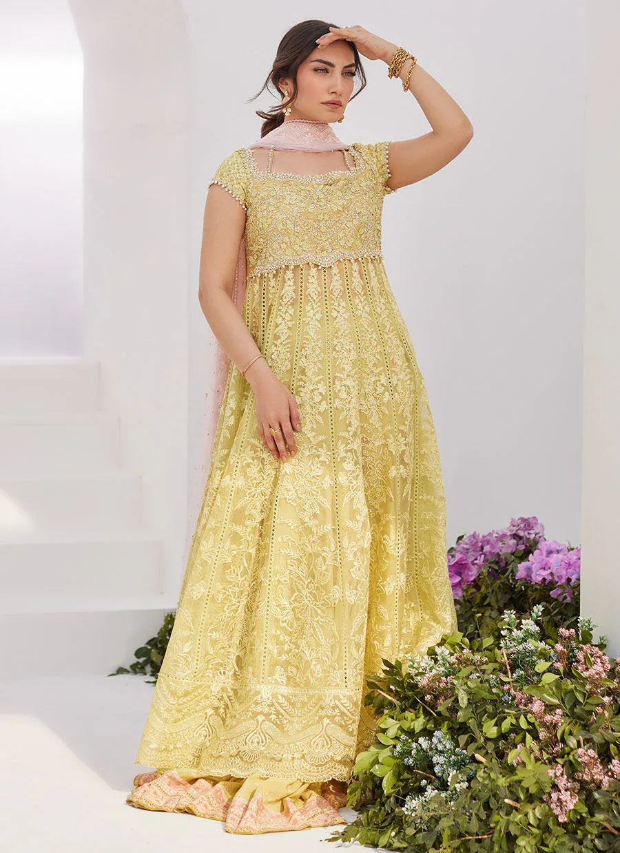 Farah Talib Aziz | Zaza Luxe Pret 24 | REINE KIWI EMBROIDERED EMBELLISHED KALIDAAR - Aqsa Fabrics