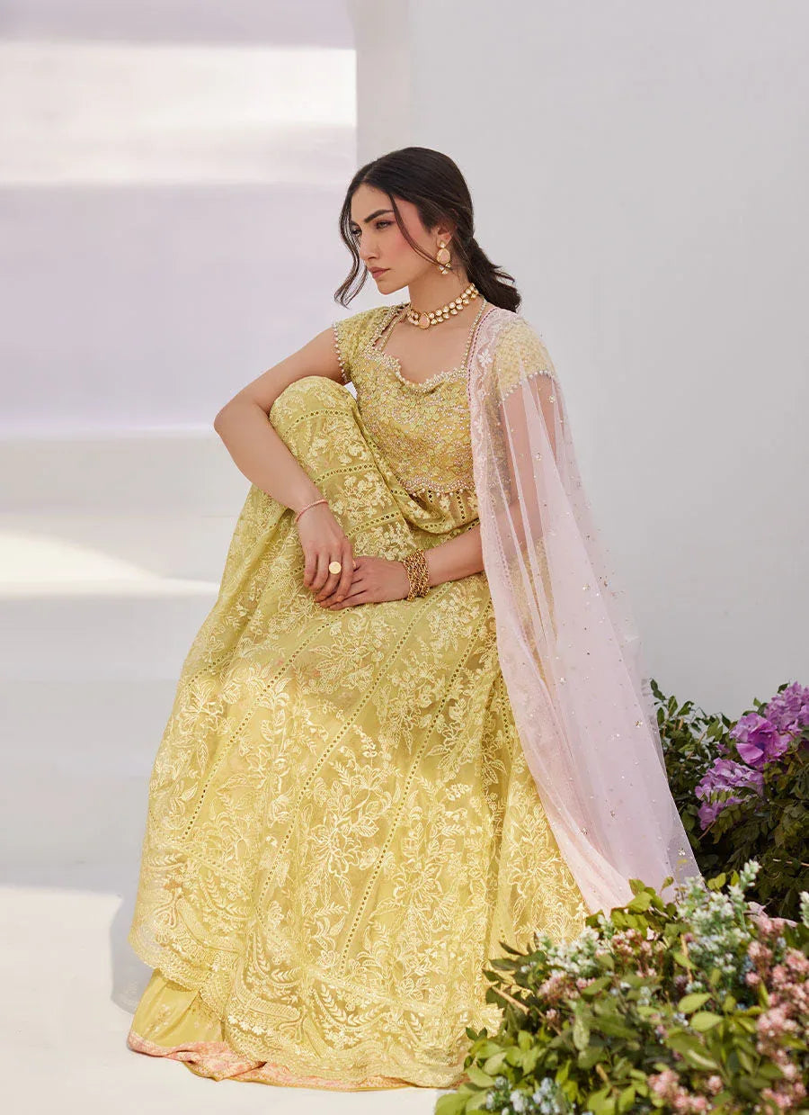 Farah Talib Aziz | Zaza Luxe Pret 24 | REINE KIWI EMBROIDERED EMBELLISHED KALIDAAR - Aqsa Fabrics