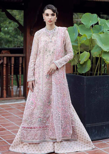 Ezra | Wedding Collection | EW24#06 - Bloom - Aqsa Fabrics