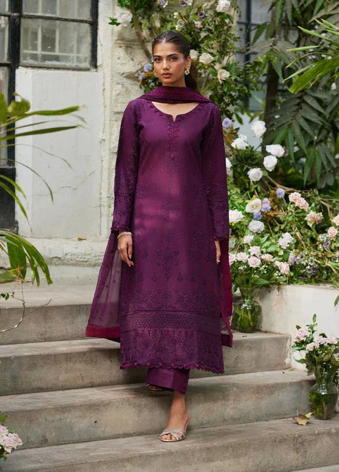 Bin Ilyas | Carnival Summer Edit 25 | Amora - Aqsa Fabrics