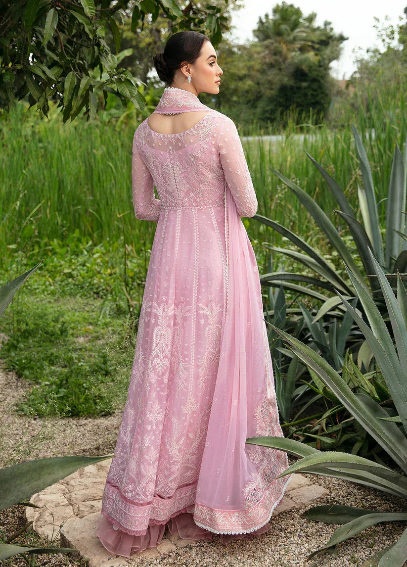 Gulaal | Embroidered Chiffon Eid Collection | AMOUR - Aqsa Fabrics