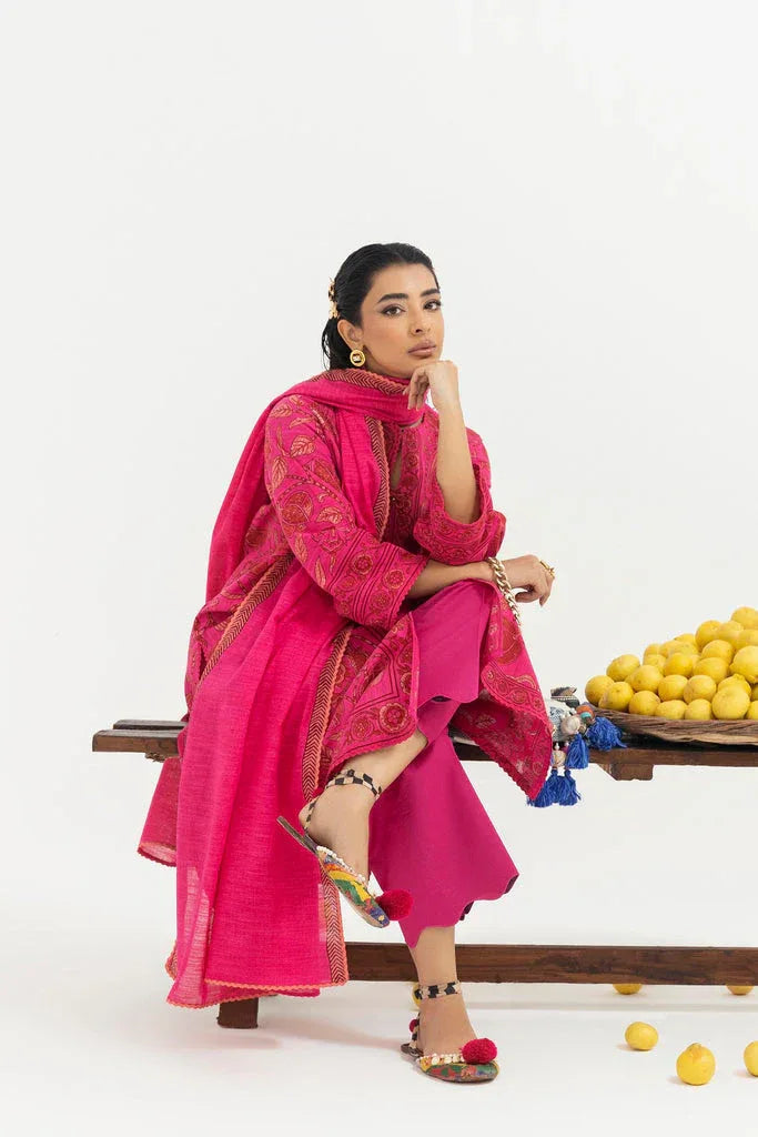 Sana Safinaz | Mahay Winter 25 | H255-008A-2Q - Aqsa Fabrics