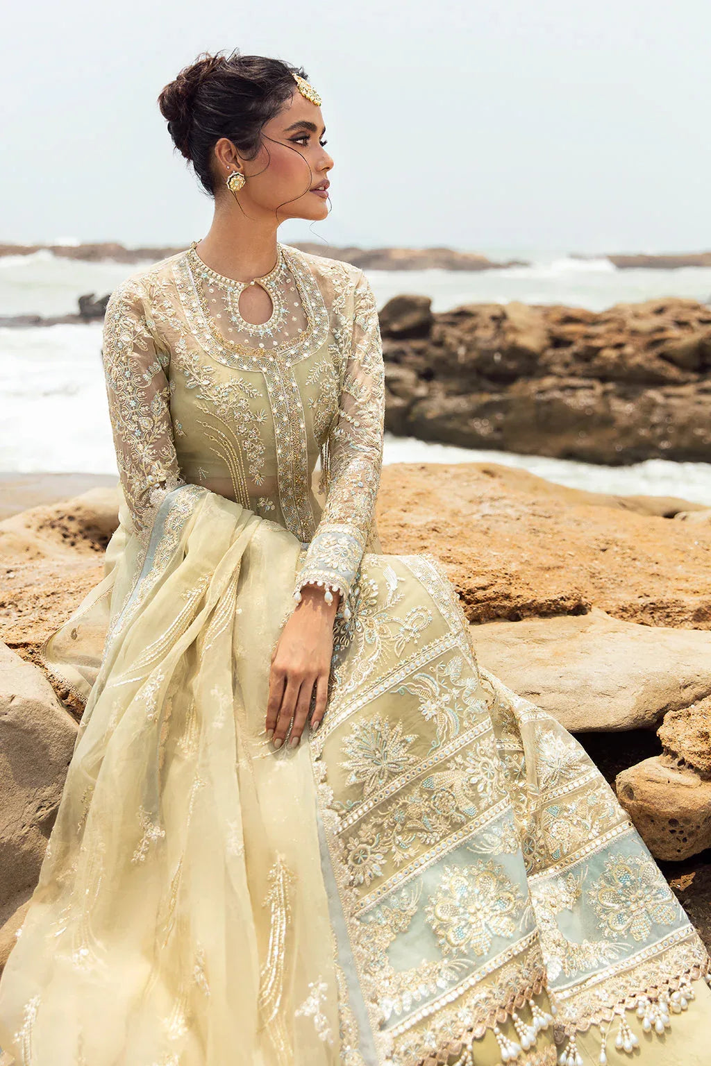 Afrozeh | Dastangoi Wedding Formal'24 | AWE-09 LEELA - Aqsa Fabrics