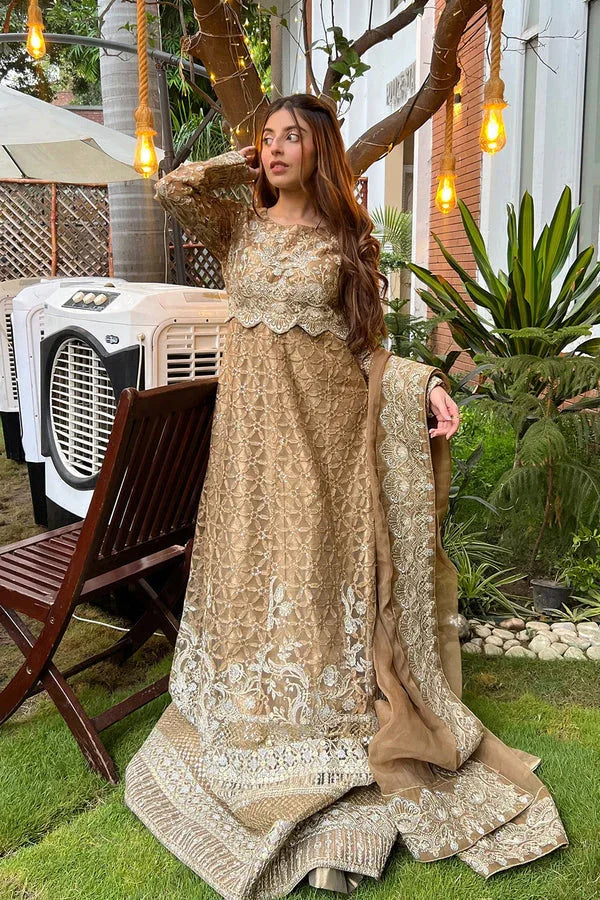 Maryum N Maria | Amani Formals | ÉLANORE - MW40106 - Aqsa Fabrics