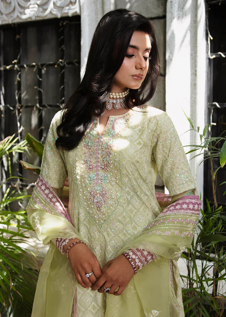 Maria Osama Khan | Rang e Noor Eid Edit | Nargis - Aqsa Fabrics