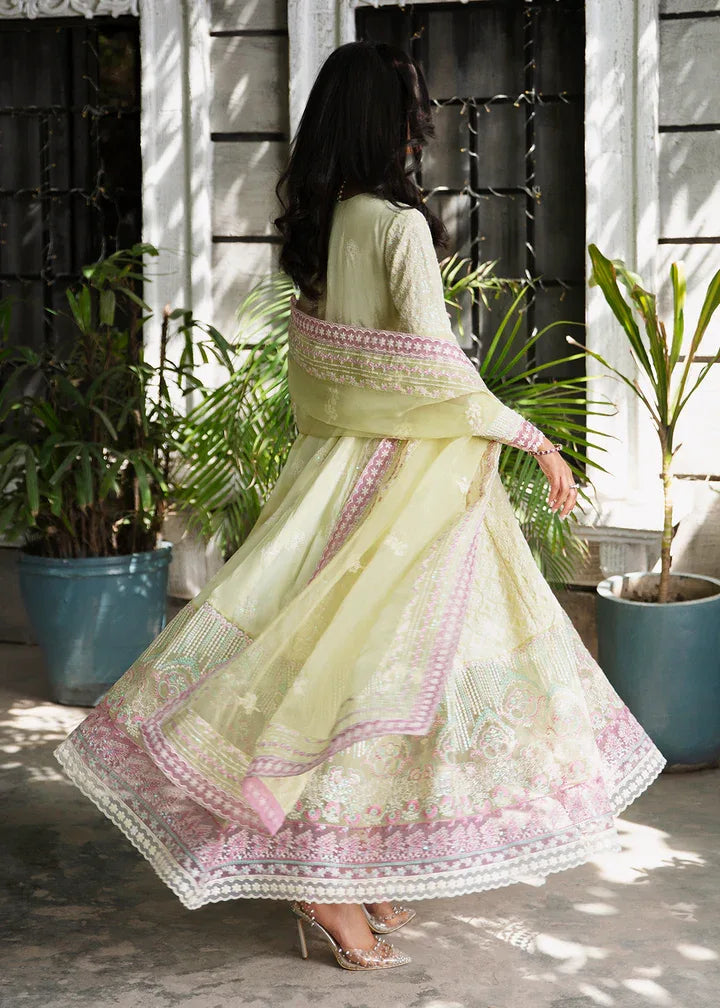 Maria Osama Khan | Rang e Noor Eid Edit | Nargis - Aqsa Fabrics