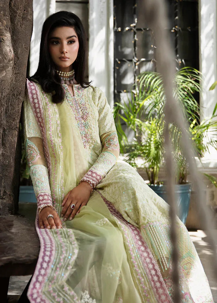 Maria Osama Khan | Rang e Noor Eid Edit | Nargis - Aqsa Fabrics
