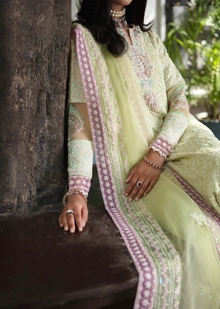 Maria Osama Khan | Rang e Noor Eid Edit | Nargis - Aqsa Fabrics
