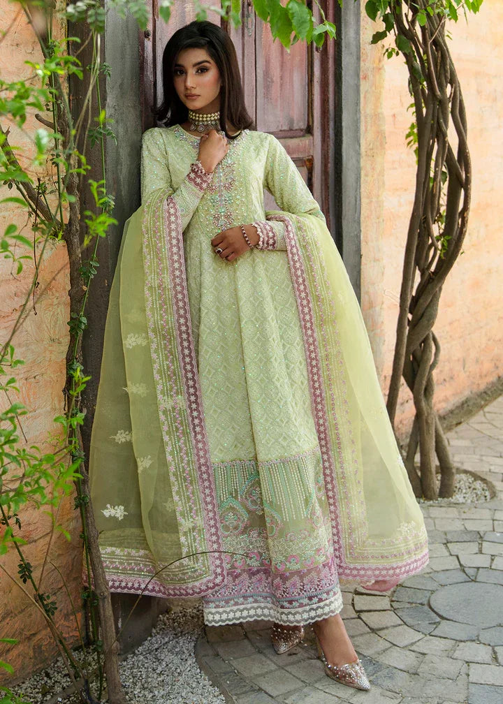 Maria Osama Khan | Rang e Noor Eid Edit | Nargis - Aqsa Fabrics