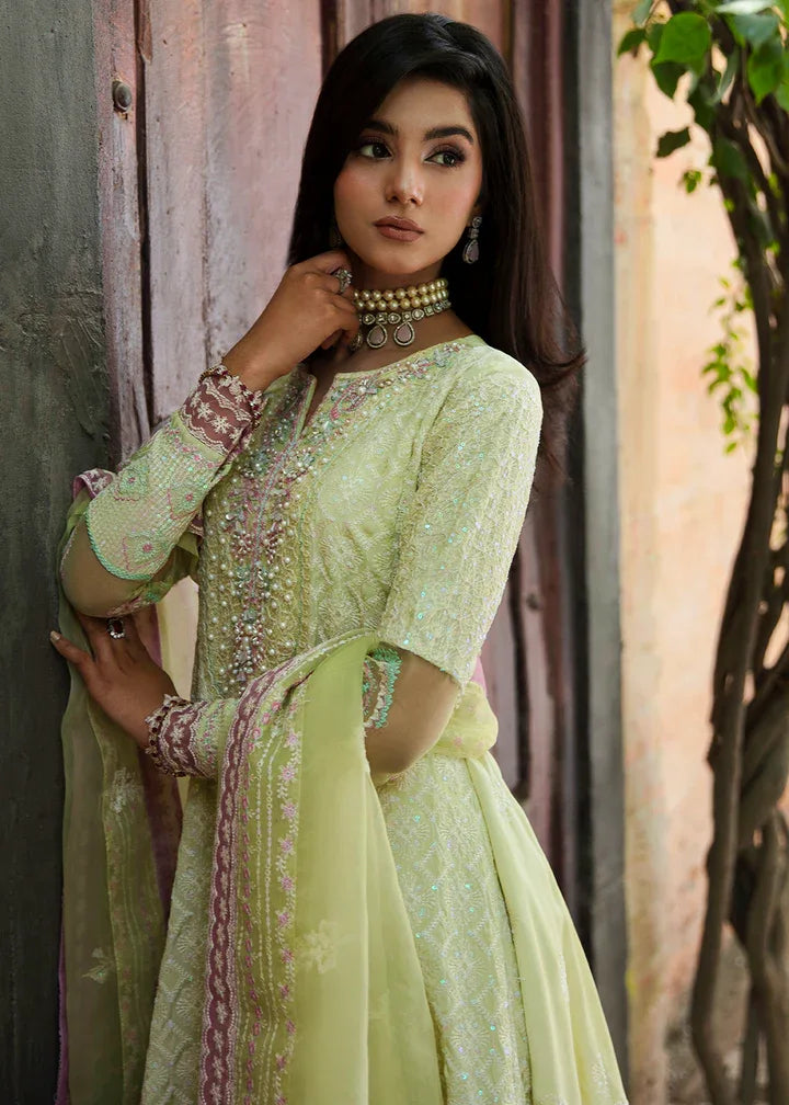 Maria Osama Khan | Rang e Noor Eid Edit | Nargis - Aqsa Fabrics