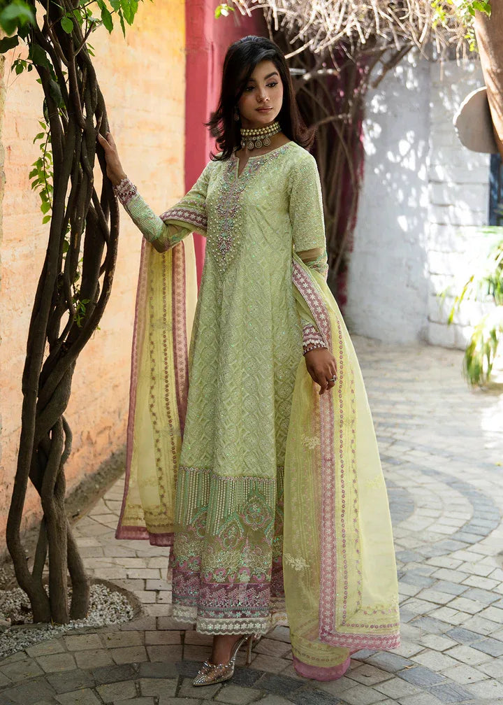 Maria Osama Khan | Rang e Noor Eid Edit | Nargis - Aqsa Fabrics