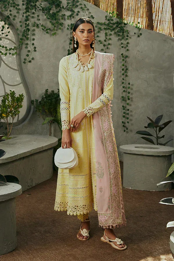 Suffuse | Casual Pret Eid 24 | Amriti - Aqsa Fabrics