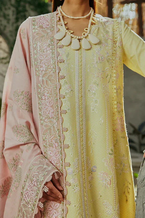 Suffuse | Casual Pret Eid 24 | Amriti - Aqsa Fabrics