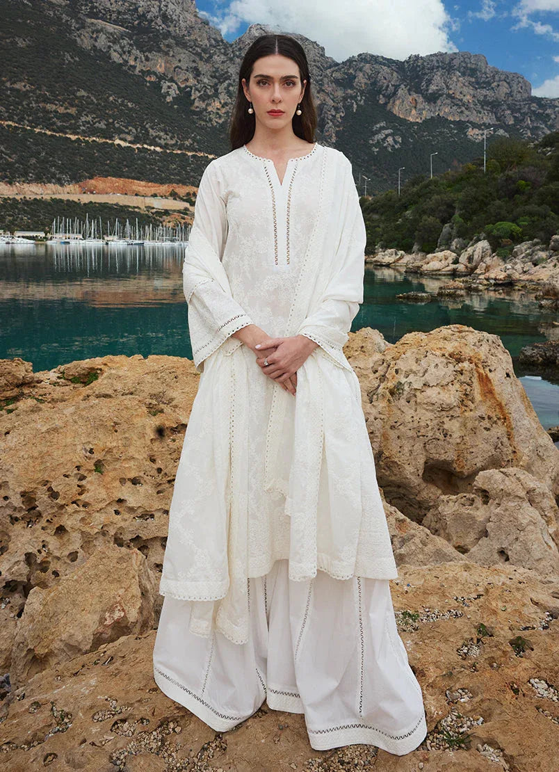 Image | Lawnkari 25 | Nour - Aqsa Fabrics
