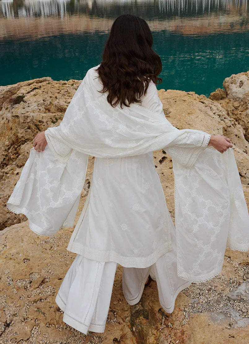 Image | Lawnkari 25 | Nour - Aqsa Fabrics