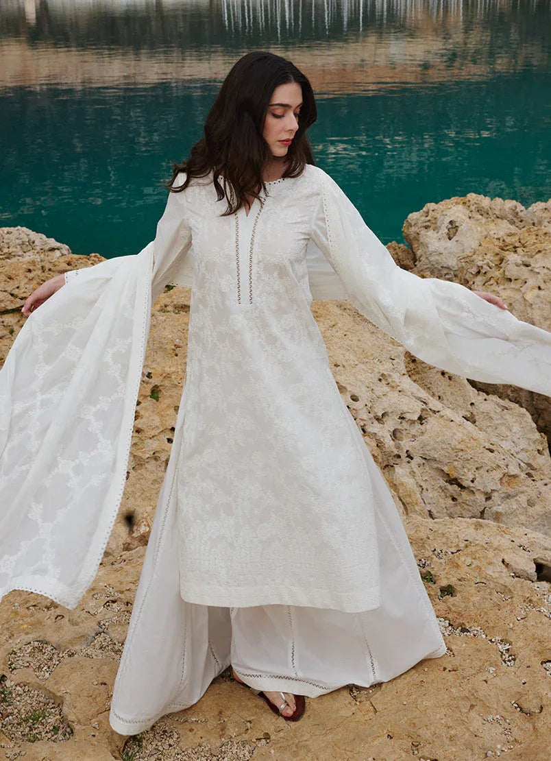 Image | Lawnkari 25 | Nour - Aqsa Fabrics