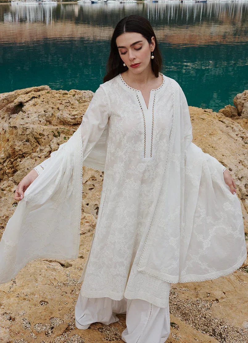 Image | Lawnkari 25 | Nour - Aqsa Fabrics